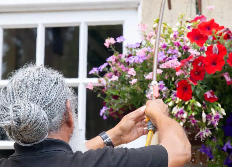 Staff member watering the flowers