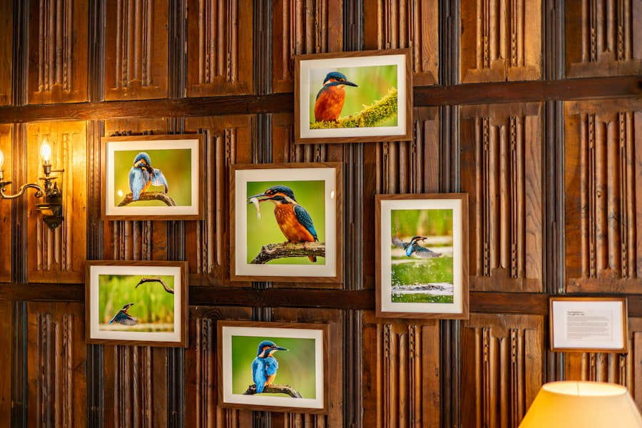6 frames of photos of Kingfishers taken by Pete Branson.