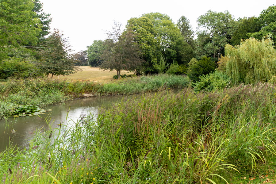 The lower lake at The Hayes today where the building is not visible due to large trees.