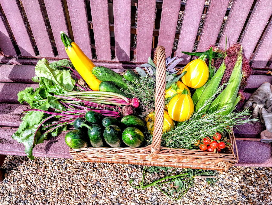 A basket full of the colourful produce grown in the garden.