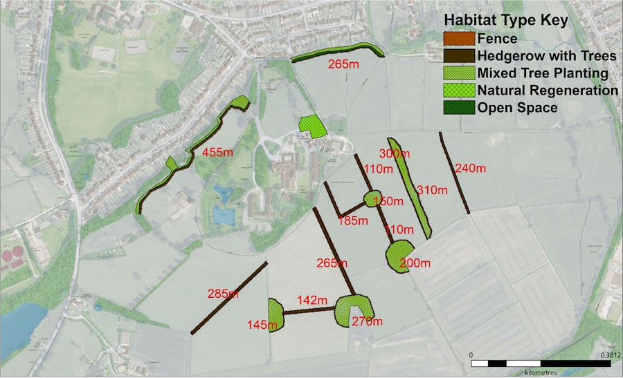 A map of the surrounding area at The Hayes showing where the trees have been planted.